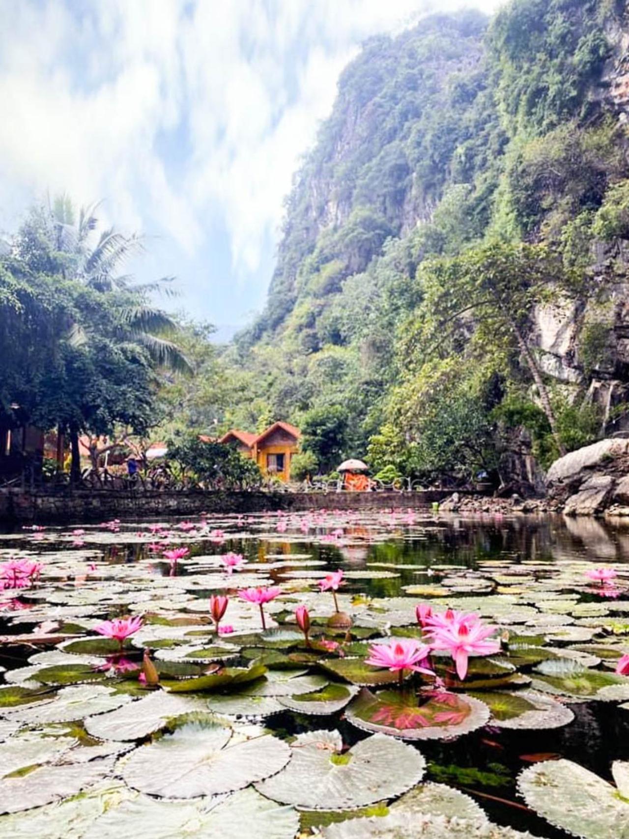 Tam Coc Rocky Bungalow Ninh Binh Buitenkant foto